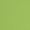 BLISTER 10FG CARTONCINO 70X100 220GR VERDE PISELLO 110 FABRIANO ELLE ERRE