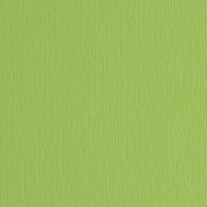 BLISTER 10FG CARTONCINO 70X100 220GR VERDE PISELLO 110 FABRIANO ELLE ERRE