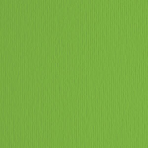 BLISTER 10FG CARTONCINO 70X100 220GR VERDE 111 FABRIANO ELLE ERRE