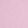 BLISTER 10FG CARTONCINO 70X100 220GR ROSA 116 FABRIANO ELLE ERRE