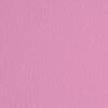 BLISTER 10FG CARTONCINO 70X100 220GR FUXIA 123 FABRIANO ELLE ERRE