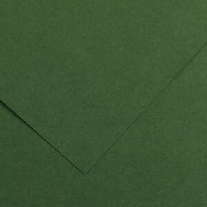 Foglio COLORLINE 70x100 cm 220 gr. 31 Verde abete