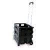 Carrello pieghevole con cassa in plastica portata max 25kg