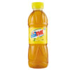 EstathE' Limone bottiglia PET 500ml