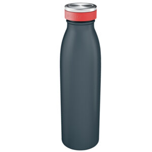 bottiglia termica da 500 ml grigio cosy leitz