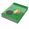 carta copy tinta a4 80gr 500fg col.forti verde