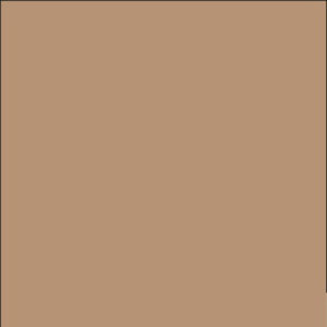 500 cartine antigrasso per alimenti color avana 33x32,5cm leone