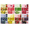 maxiquaderno a4 80gr 40+2fg 1rigo fruit pigna