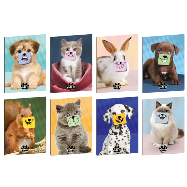 maxiquaderno a4 20fg+1 80gr rigo di 1a pets-it blasetti