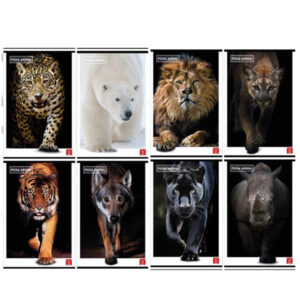 maxiquaderno a4 80gr 40+2fg rigo di 3a animal pigna