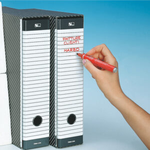 registratore delso line g13 dorso 8cm f.to commerciale esselte