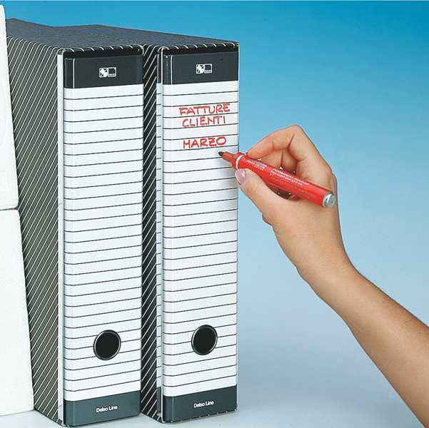 registratore delso line g13 dorso 8cm f.to commerciale esselte