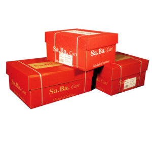 carta in modulo continuo 24x11'' 60gr (2000fg carta riciclata piste stacc