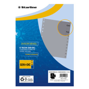 divisori mensili (gen-dic in pp 12 tacche f.to a4 21x29,7cm grigio starline